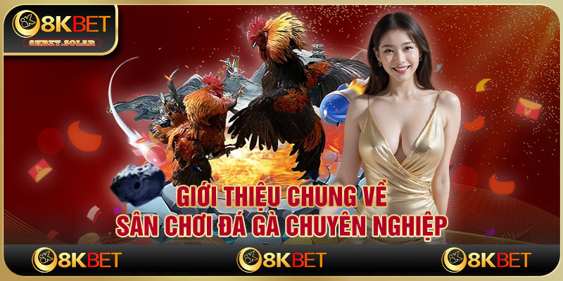 Giới thiệu chung về sân chơi đá gà chuyên nghiệp