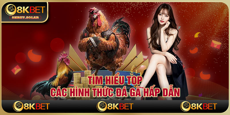 Tìm hiểu top các hình thức đá gà hấp dẫn